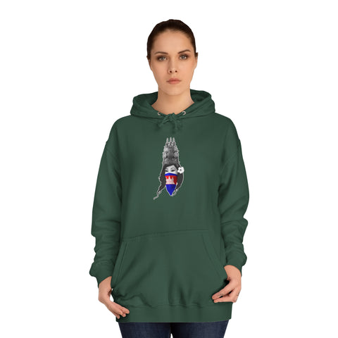 Image of Ish Delish - Unisex College Hoodie